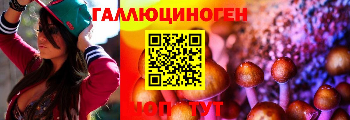 Белореченск  Псилоцибиновые грибы GOLDEN TEACHER  Вход с VPN  Галлюциногенные грибы прущие грибы 